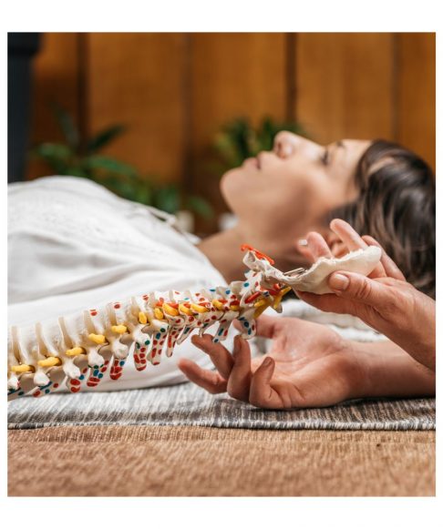 Osteopathiepraxis Sontheim Brenz